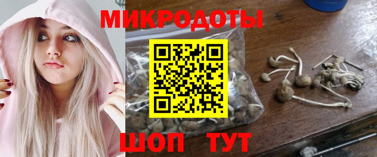 Будённовск  Галлюциногенные грибы мухоморы  Вход с VPN 